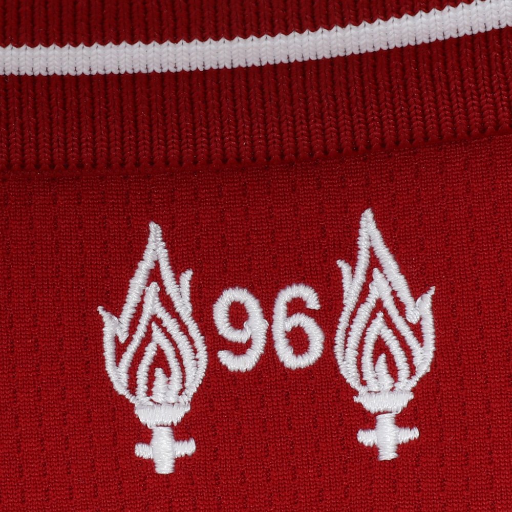 the 96 emblem